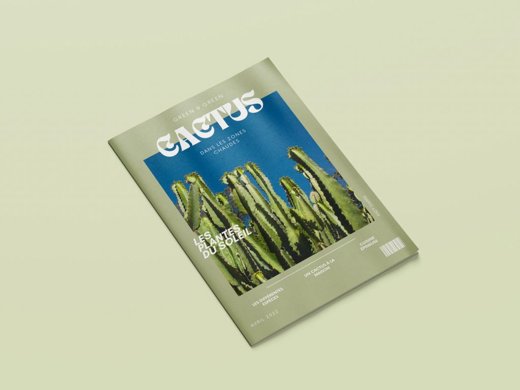 Magazine Cactus