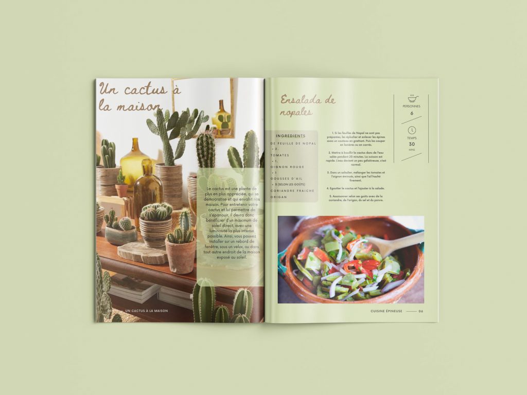 pages magazine cactus